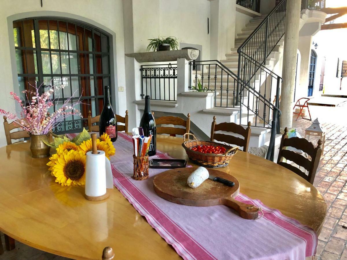 Villa Casa Sonia ควอร์โต ดิอัลทิโน ภายนอก รูปภาพ